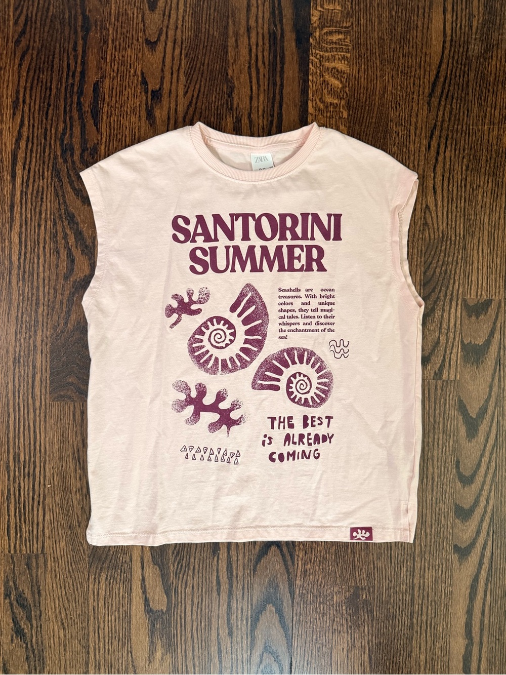 Zara Light Pink Tee with Maroon Nautical Graphic